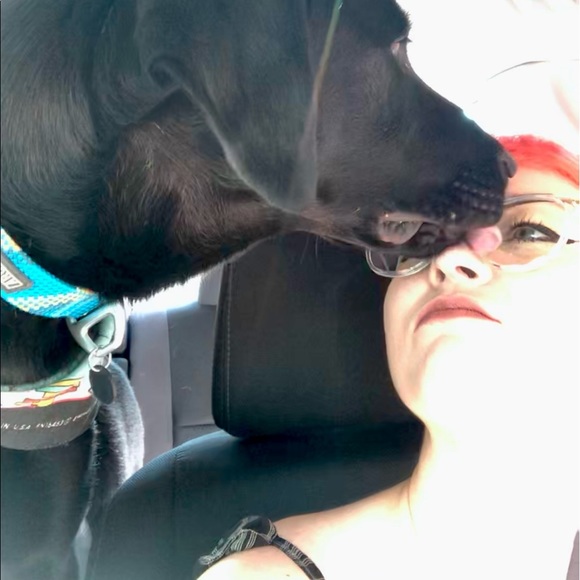 Meet your Posher, Krickett - Picture 4 of 4